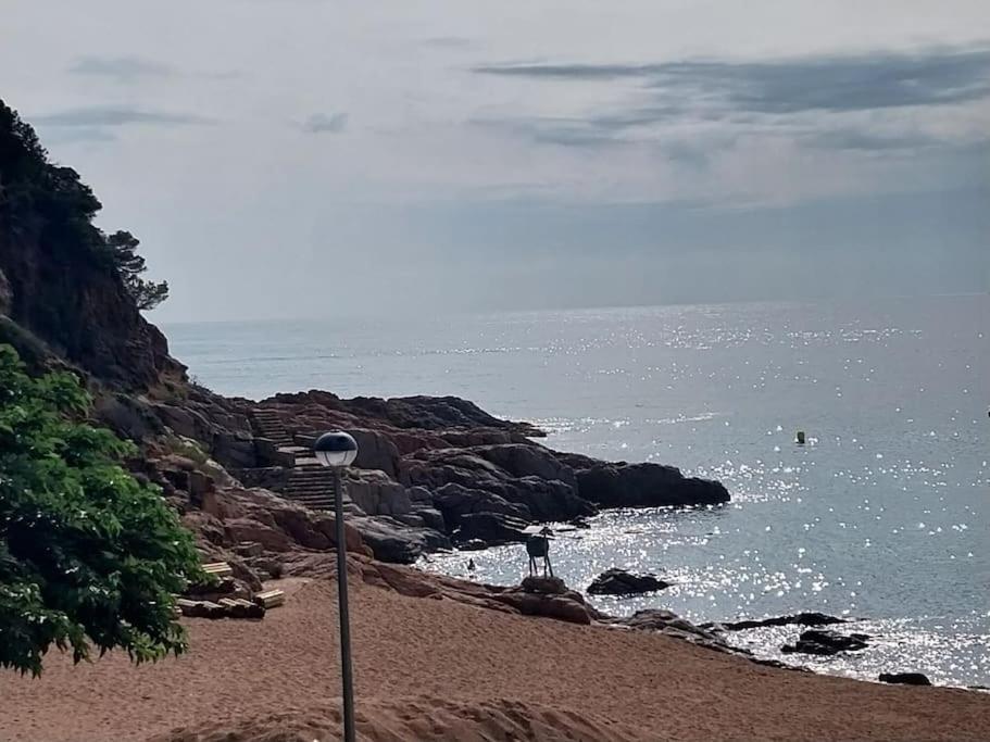 Cala Salions Balandro II Tossa De Mar Apartman Canet De Mar Kültér fotó