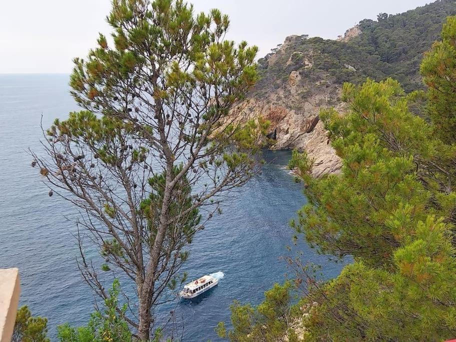 Cala Salions Balandro II Tossa De Mar Apartman Canet De Mar Kültér fotó