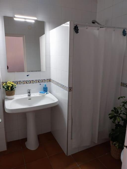Cala Salions Balandro II Tossa De Mar Apartman Canet De Mar Kültér fotó