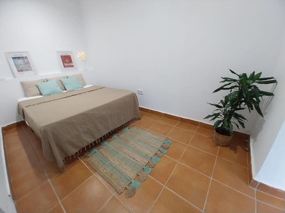 Cala Salions Balandro II Tossa De Mar Apartman Canet De Mar Kültér fotó