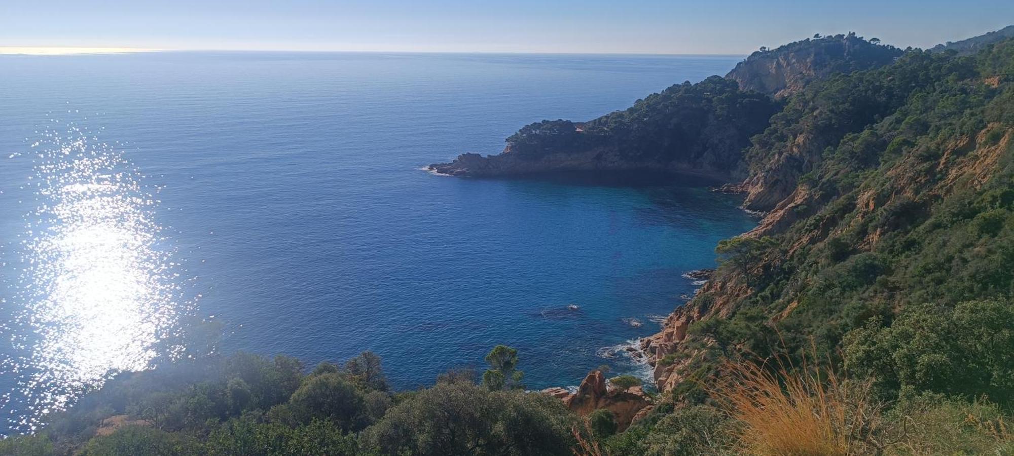 Cala Salions Balandro II Tossa De Mar Apartman Canet De Mar Kültér fotó