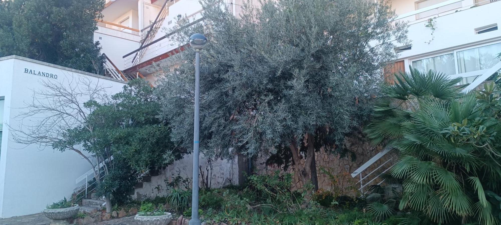 Cala Salions Balandro II Tossa De Mar Apartman Canet De Mar Kültér fotó
